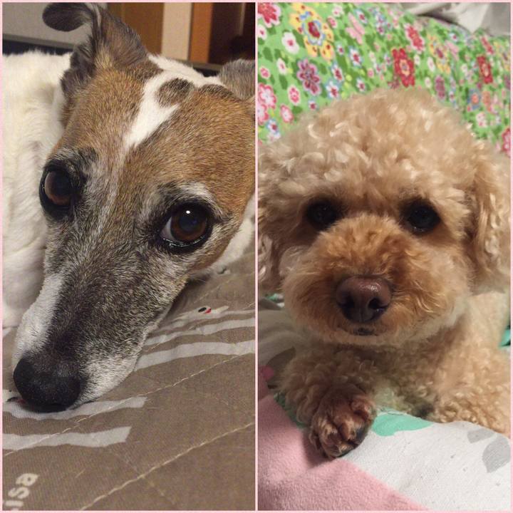 5ff0477c 5087 4a4e 9968 f43c5ff8829f