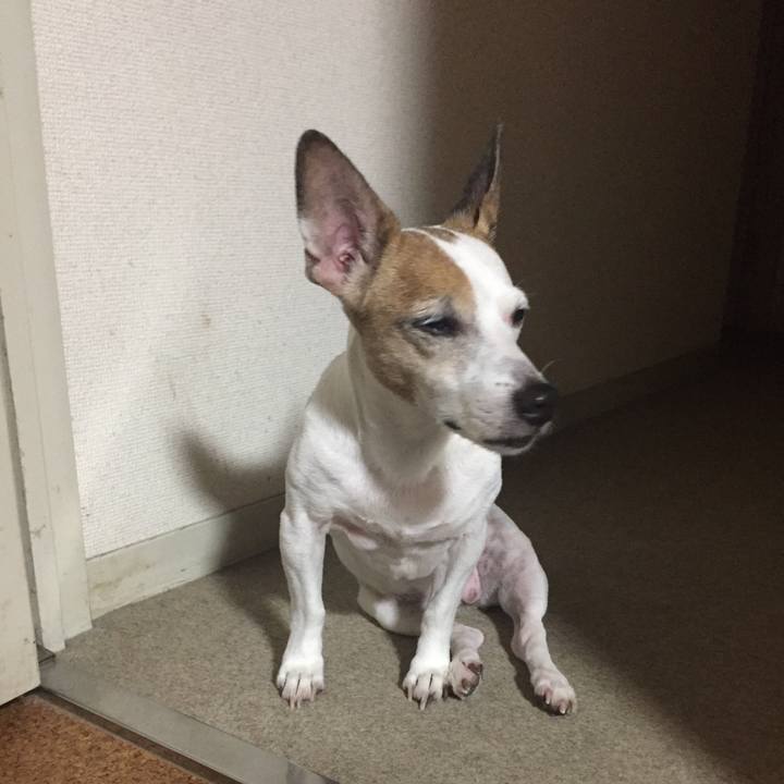 5ff0aaa5 eba2 49d1 8e3c cfb4878590f3