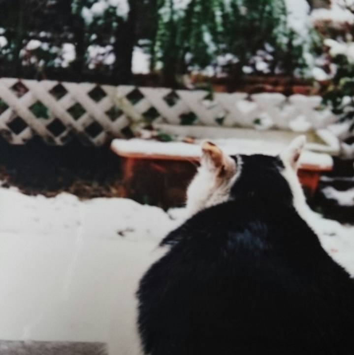 5ff1b64d dae5 4c01 8e65 c4bdfa8fde07