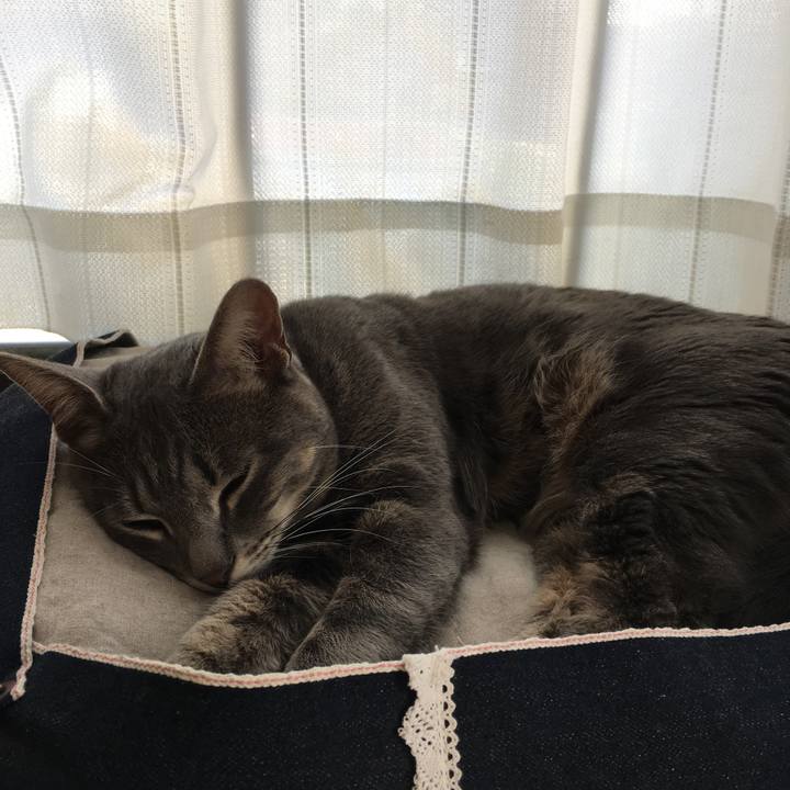 5ff1bcbc 1efa 422a bfc5 b9b4ae8cbd58