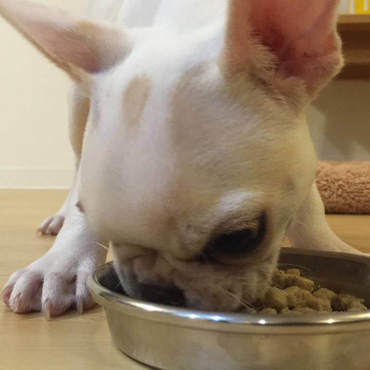 5ff1dfc2 bb02 4221 8c09 fc8aa1d0cc1c