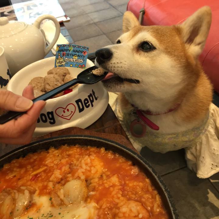 5ff1f122 1cb8 4d75 b83d 8be5f0e5e98b