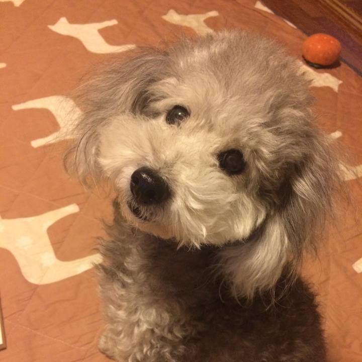 5ff22358 fdd6 4788 bb76 a38f13a6d504