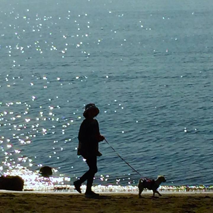 5ff244d2 6f9b 42bf b194 a65157ac8761