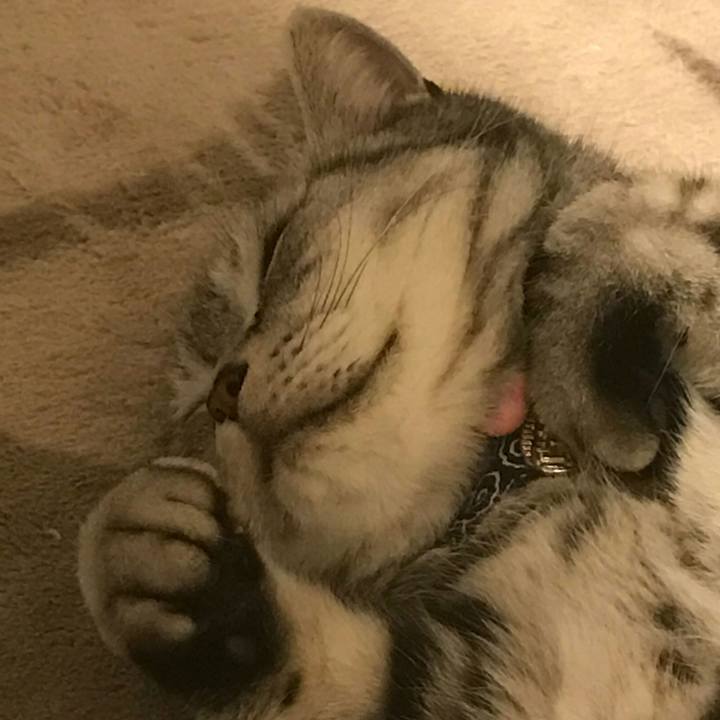 5ff26bdb 8659 4a46 9c48 96d6e42f58ec