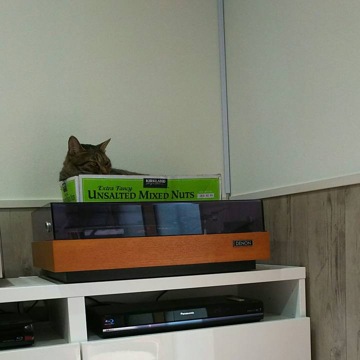 5ff26f61 6c1c 4a88 a19a 8fd6824a4858