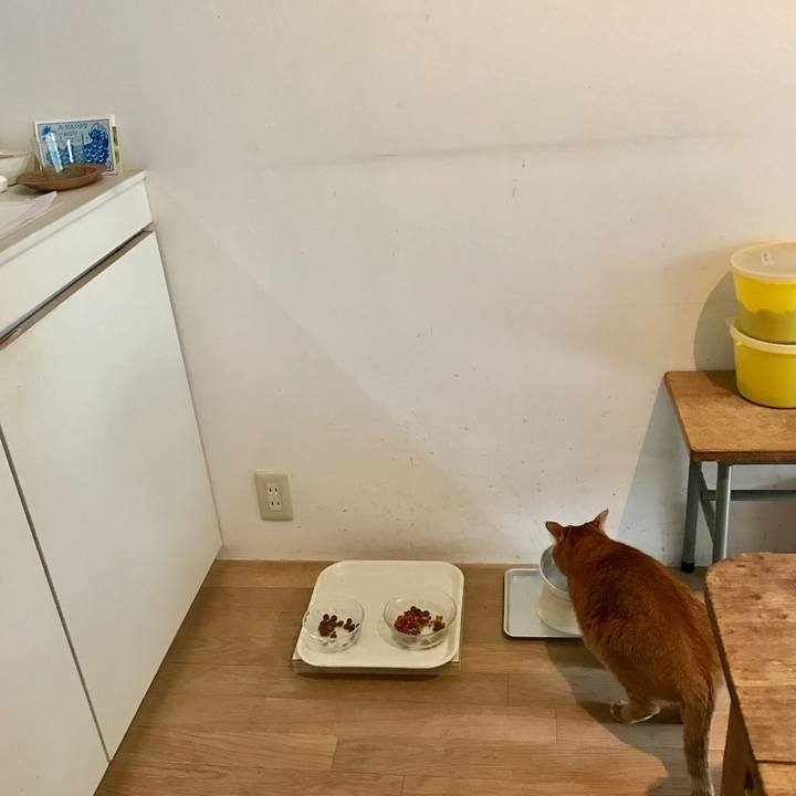 5ff31694 df62 4922 8268 6490a5524d8f