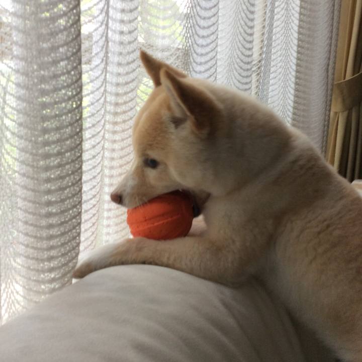 5ff34dbb e6f6 498f bcff f2ef6568d3b7