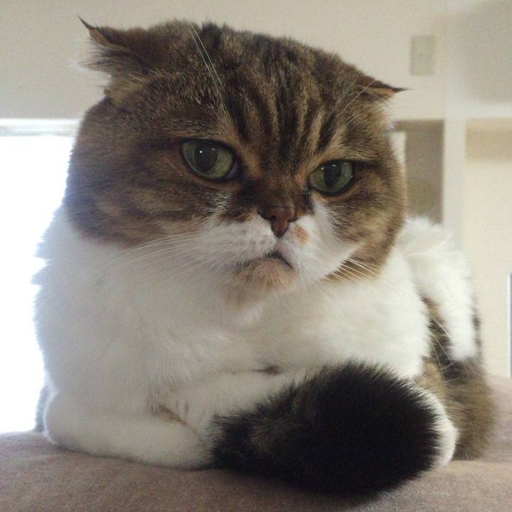 5ff35570 b322 45c8 9de6 6659f37ff2ef