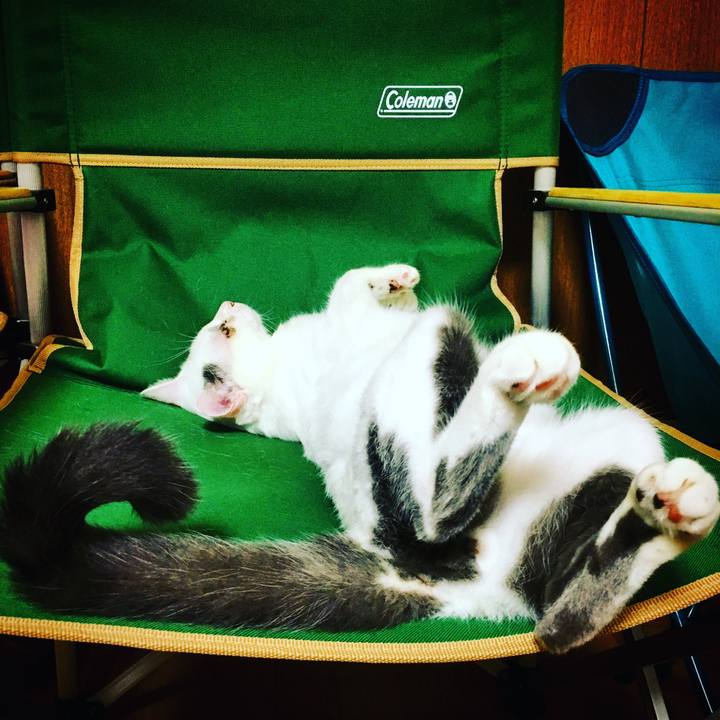 5ff35bee bf67 4dbd 9cd8 eb05baf4299d