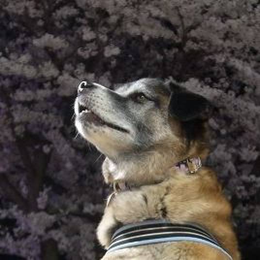 5ff37984 c7bd 461d bb63 0739b028867d