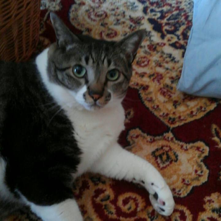 5ff3810b a4bd 476e 85a7 31365e5fc53f