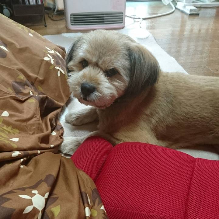 5ff3a99b 231f 451e 9b0a 3c1ebadc5e3f