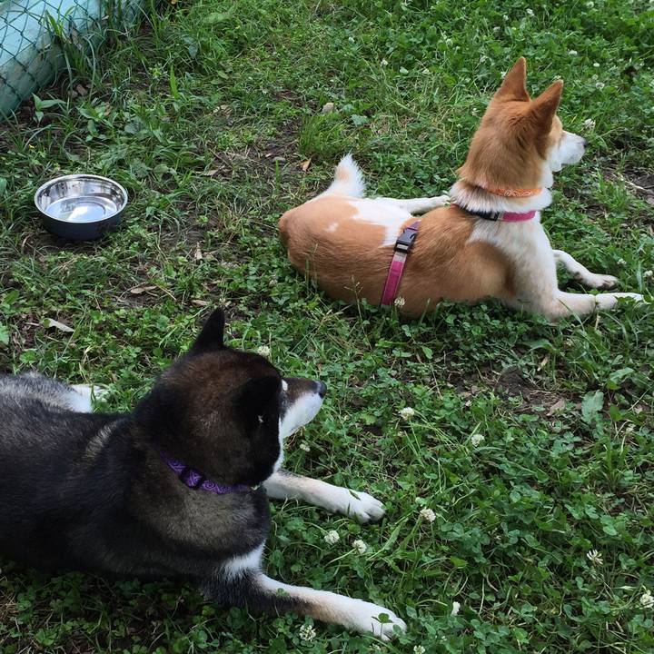 5ff3ab11 2500 4b48 9434 8db919d2df48