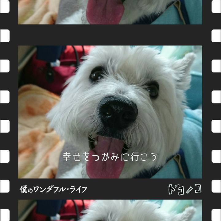 5ff447a4 f70a 4cc3 9f0a 27e8c0d6ccb6