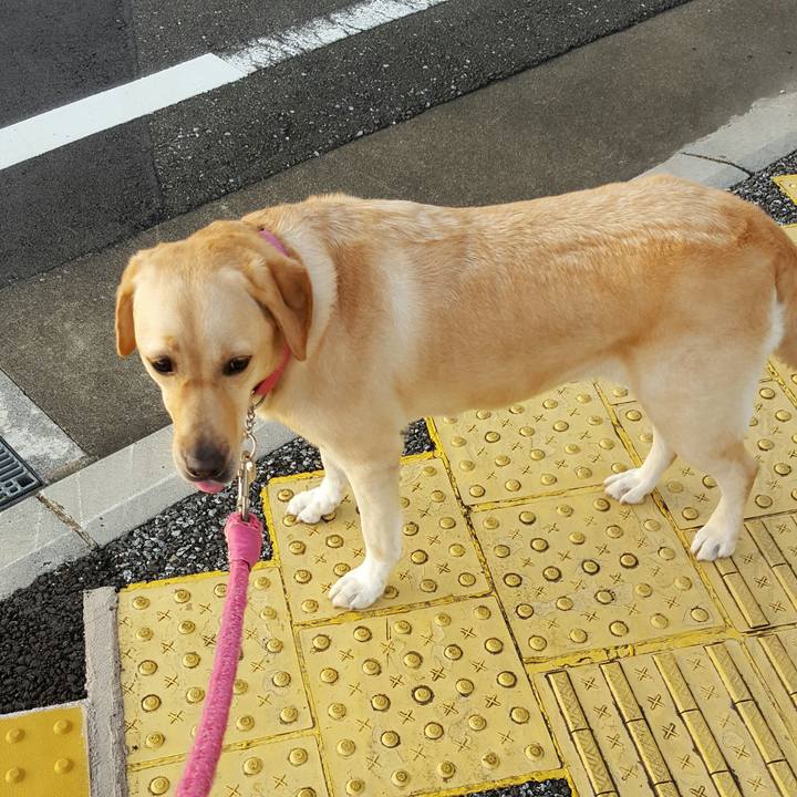 5ff4cb00 c44b 4f59 ae51 ac1a1d0fce1b