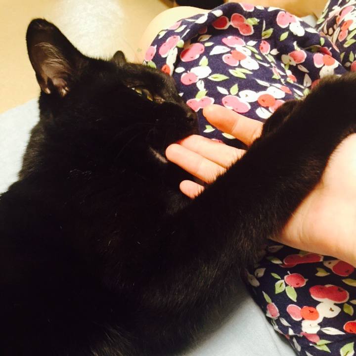 5ff520eb 1ffd 44c6 8109 92e3696d98d9