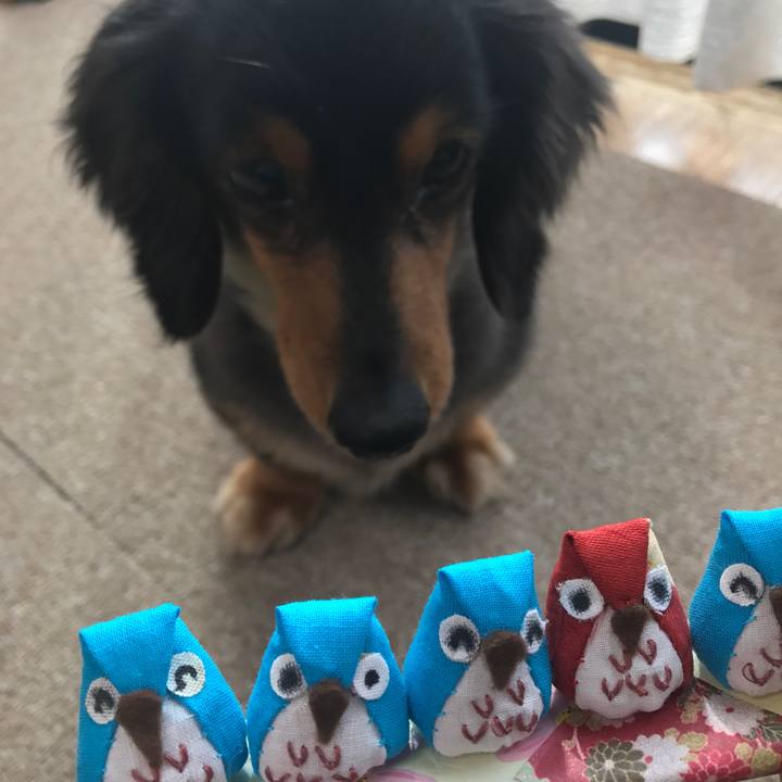 5ff55725 5f46 49f5 9ae4 e498b4d4ff5d