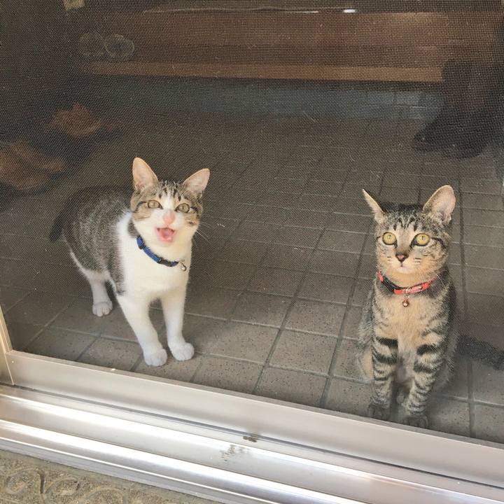 5ff569e9 9630 4d1f 82be 625fa5b1e5be