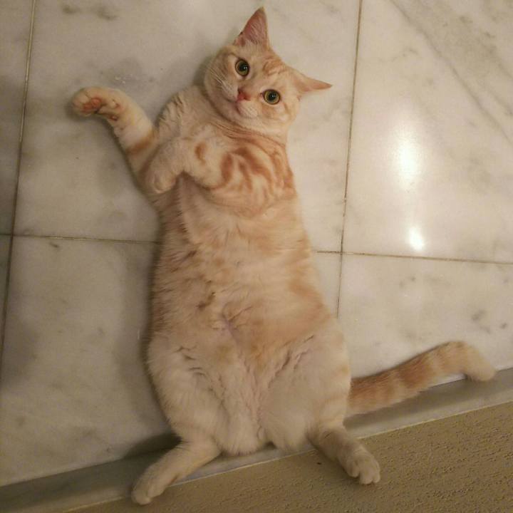 5ff5798d b9bd 40e4 9556 61a9197a7e3c