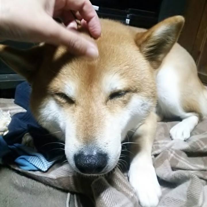 5ff5bb7b 41f7 4801 9c57 e952cd4187df