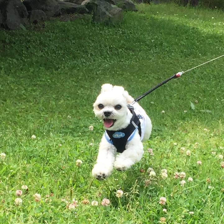 5ff5d5be 297c 4bf6 8d11 a7bfc4a211cb