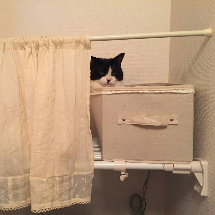 5ff61c34 2353 4665 95cb d67f7cf47453