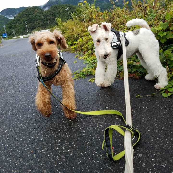 5ff69100 b770 41b7 8a4b a6744fa2eefa