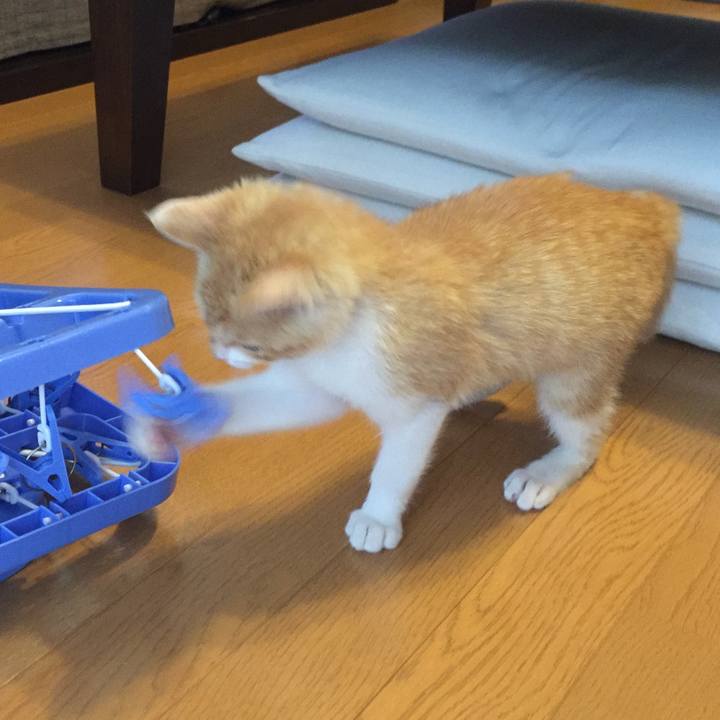 5ff725a8 ac75 438b abbc d4e2649af990