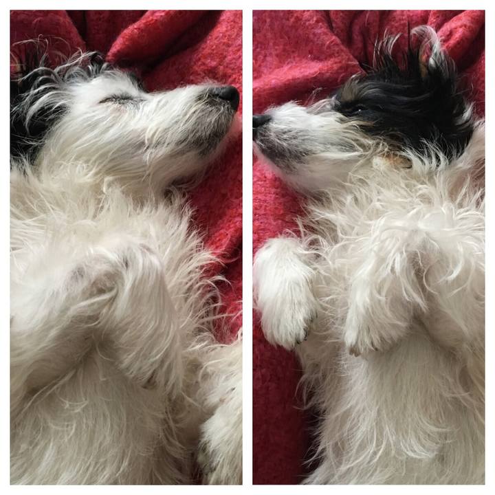 5ff72cff cead 4748 9b98 5cc17904f2ee