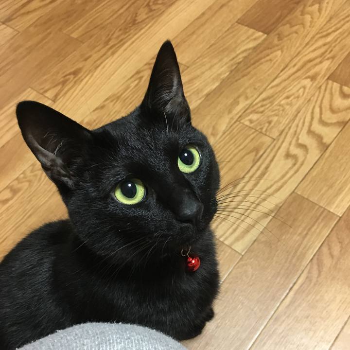 5ff78047 185f 4293 93de 64e05afbf1fb