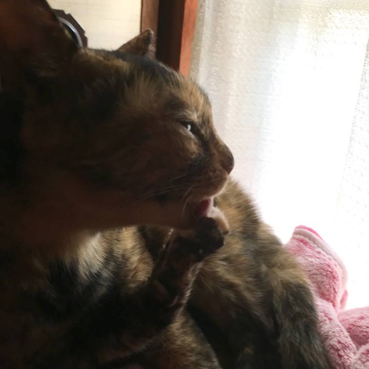 5ff78f54 5334 4481 a295 0497907fd332