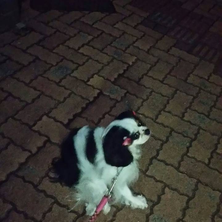 5ff83782 dd4a 46d1 96f9 d23769b157d1