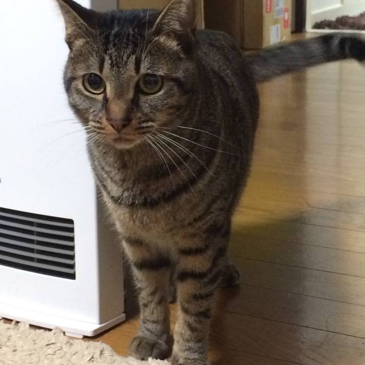 5ff84dd5 609e 4638 a80c 9475195c2283