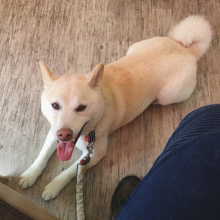 5ff86dba 6050 41bf bc3f 7ab6e8161e71