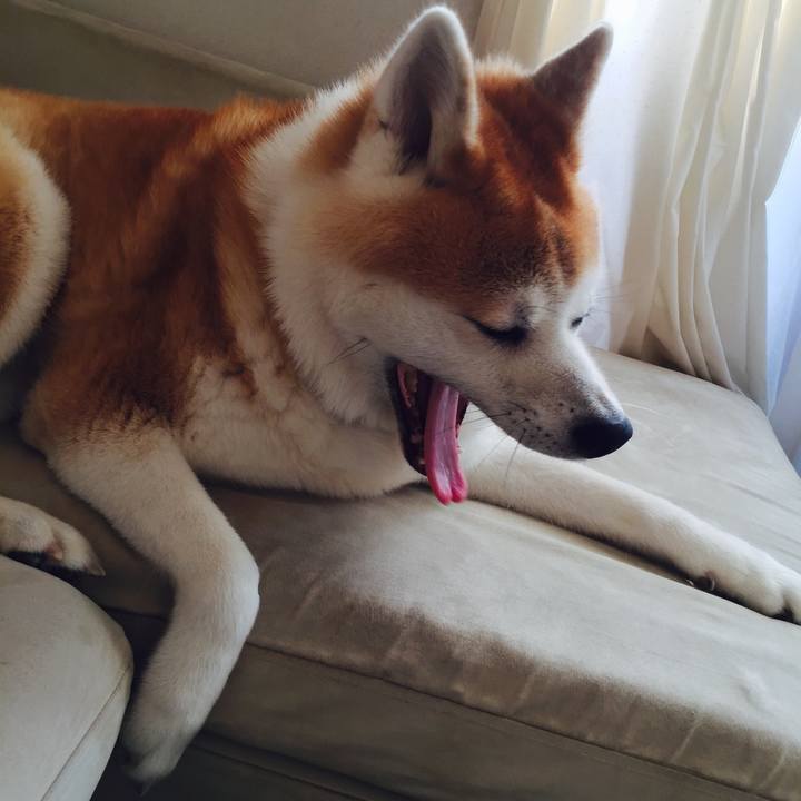 5ff99168 07ae 4b8c bfc4 0811d9933381