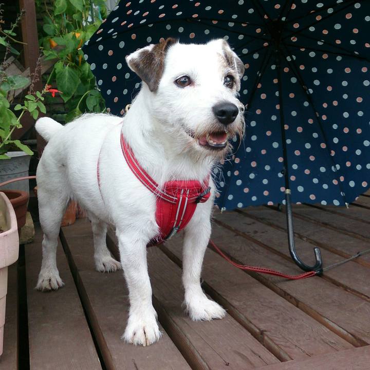 5ff9ac46 bae3 40a6 be0f 5fbbbbccbfbe