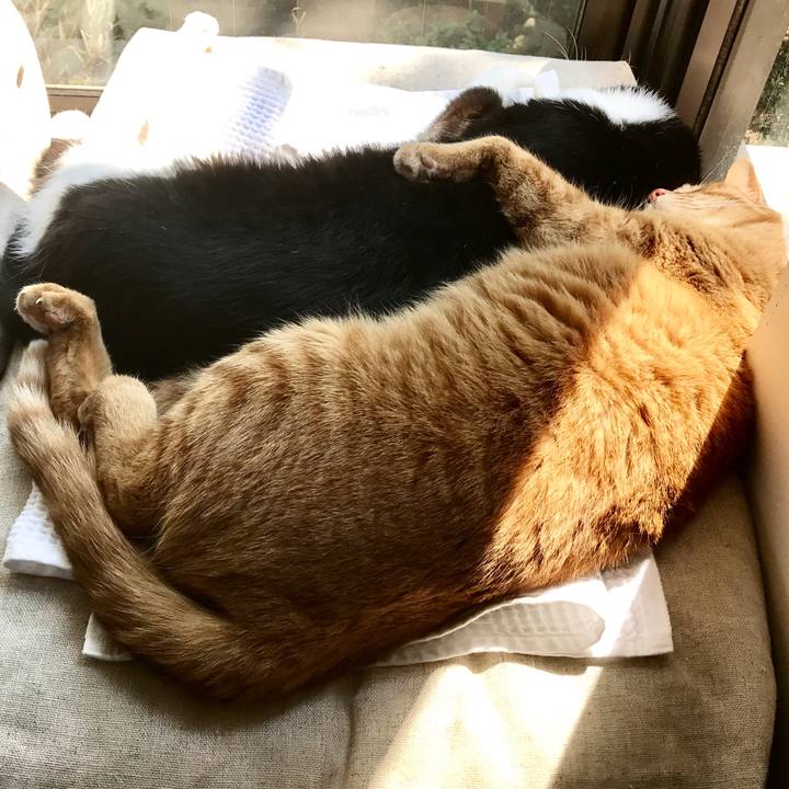 5ffb25a9 2b5d 468d 91e3 d68e72d653dc