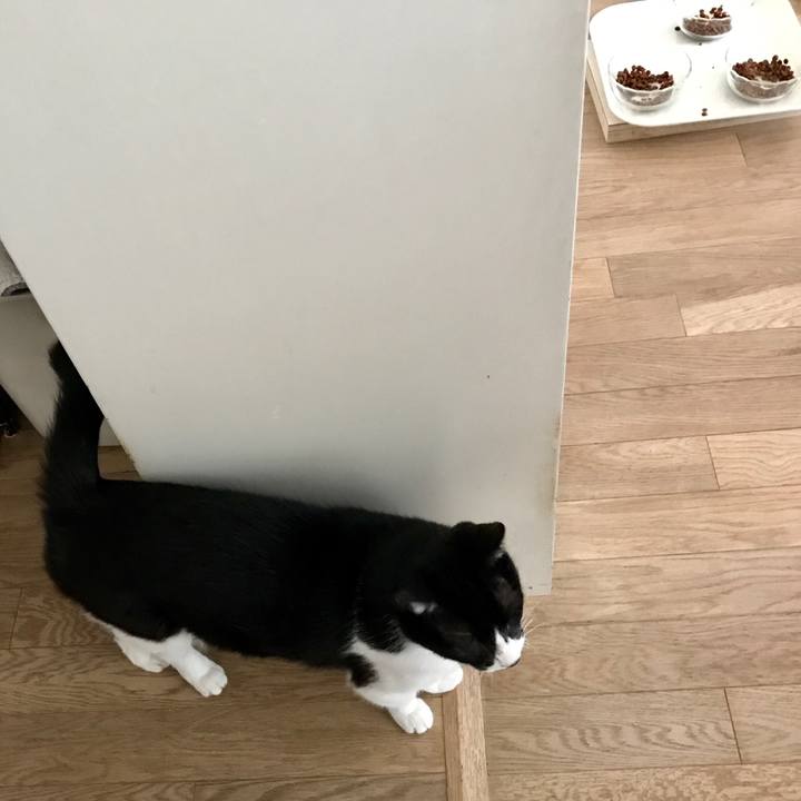 5ffb8749 6899 45da 9538 452823586908