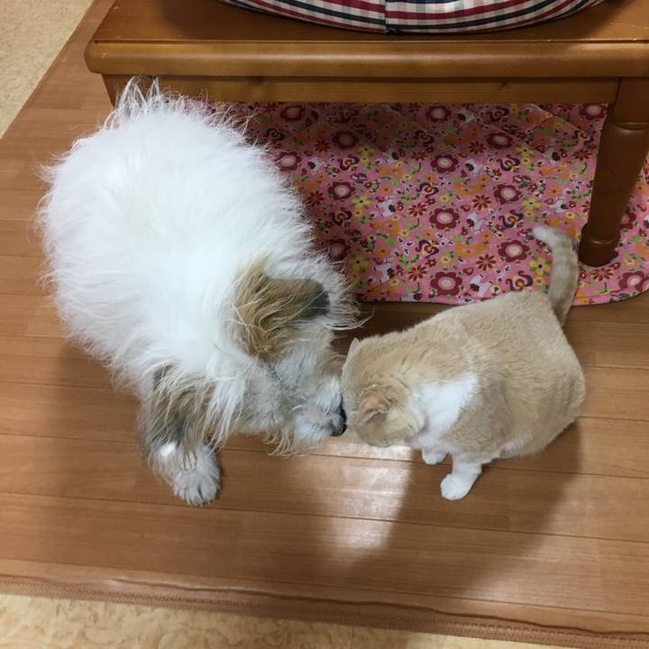 5ffb9470 59dc 4d4b b552 7bb9d7952514