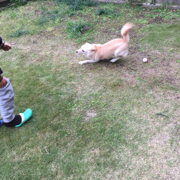 5ffbe216 7e0e 4070 88d9 b1dacc67936c