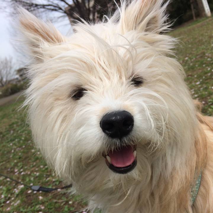 5ffc8654 9777 488b 836d f1d178e18d08