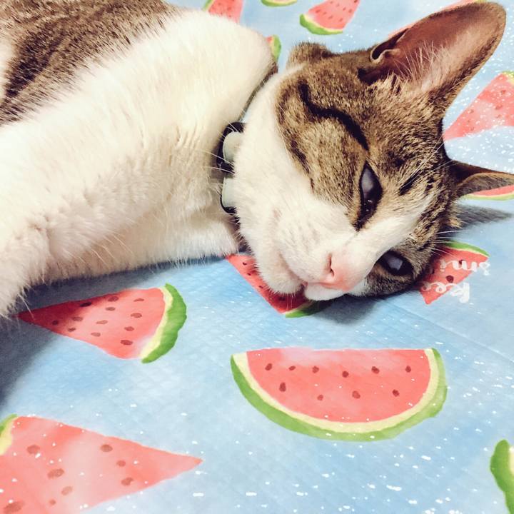 5ffcac30 c6d4 47dd 8bb6 827a4fb42453