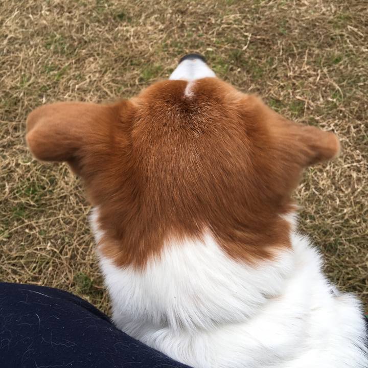 5ffd78bb 2ec2 4c1c 955b 7b37e4ba81c8