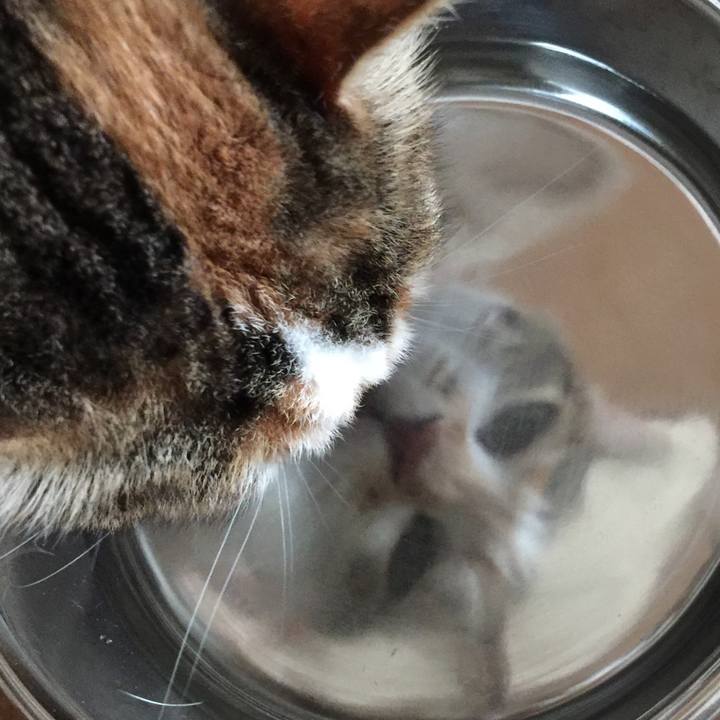 5ffd8fd3 5d14 4ec3 9cb5 073453ef6a7c