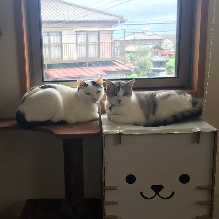 5ffdcbc7 0aaa 46ff a499 55ead516e144