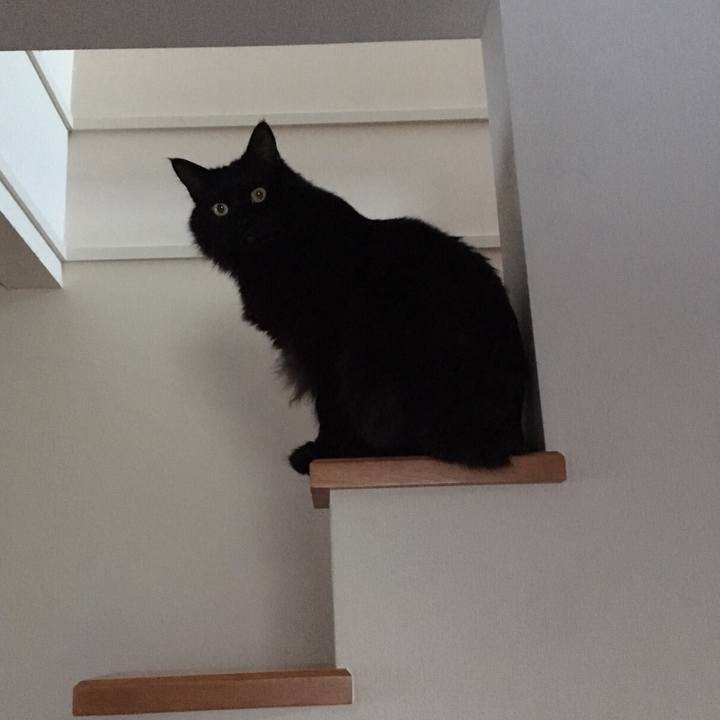 5ffdeaa0 2513 4b4f acc8 c86ed432986b