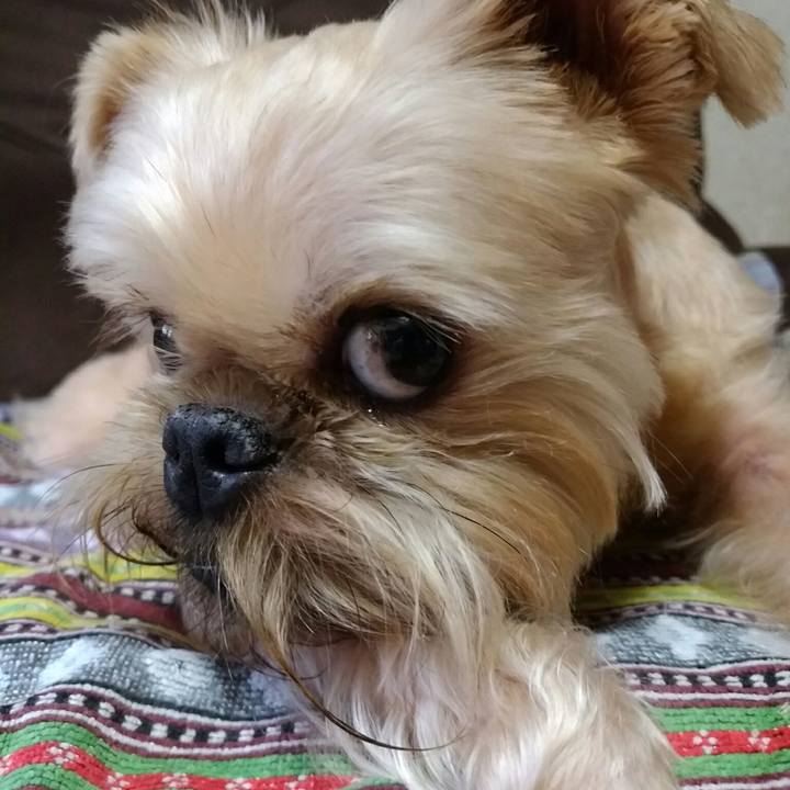 5ffdf2f7 c507 4db2 8eb5 6e104b1d8117