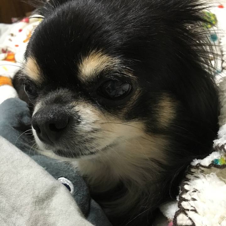 5fff0a61 efb1 4e72 bb34 c937243ce306