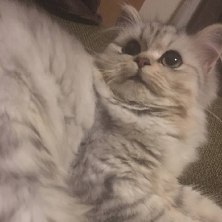 5fff3441 4dd9 4f3b acca 56e74171e8de